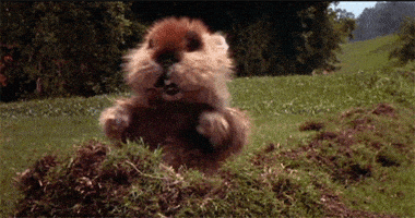 Gopher Dancing GIF - Find & Share on GIPHY