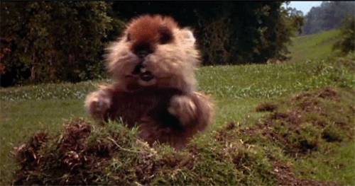 Gopher Dancing GIF - Find & Share on GIPHY