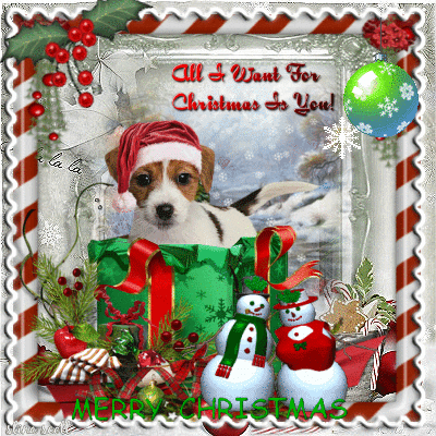 All I Want For Christmas Is You GIF - Find &amp; Share on GIPHY