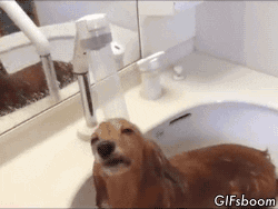 Shower Refreshing GIF - Find & Share on GIPHY