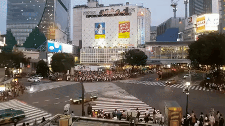 Shibuya Crossing in Tokyo in random gifs