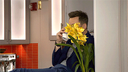Creeping Joel Mchale GIF - Find & Share on GIPHY