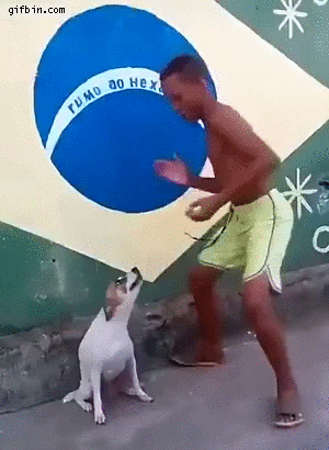 boy dancing with dog
