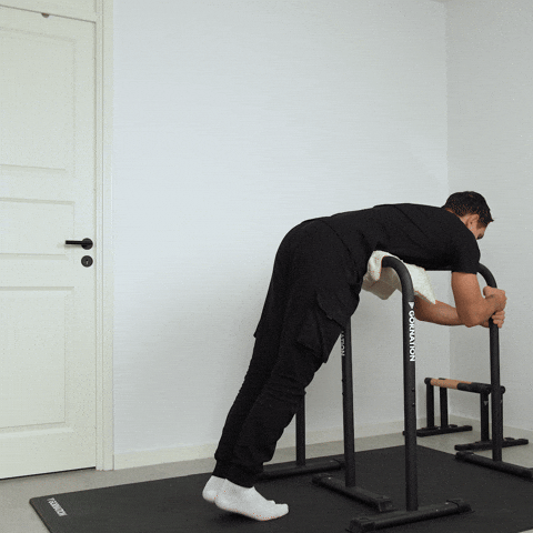 hyperextension exercise demonstration