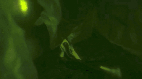 Boy Destroy GIF - Find & Share on GIPHY