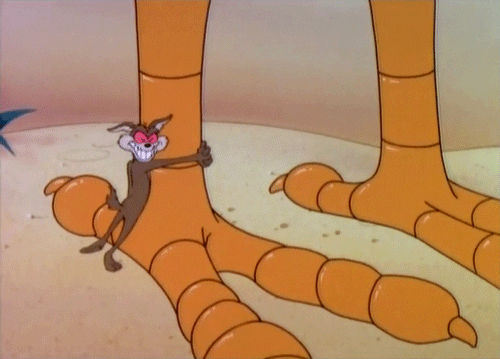 Wile E Coyote GIF - Find & Share on GIPHY