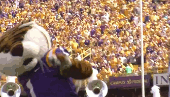 LSU Football in 2 days...Knuck if you buck | Tiger Rant