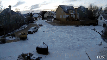 snow