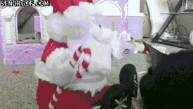 Cheezburger cat animals attack santa