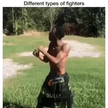 Different Types Of Fighters in funny gifs