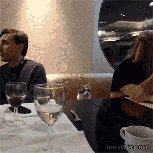 https://media.giphy.com/media/FJgNIvCnaeNAQ/giphy.gif