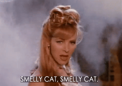Best Quotes from “Friends” - Phoebe singing ‘Smelly cat’