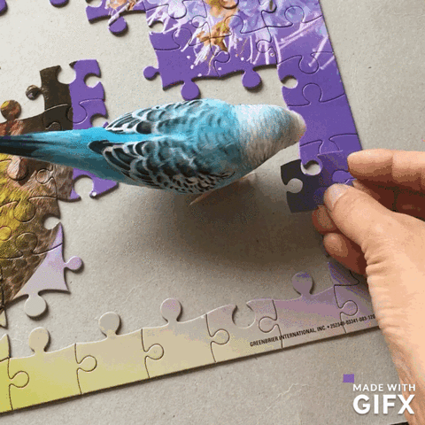 Animals Being Jerks Puzzle GIF