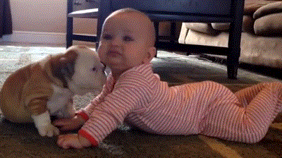 Being GIF - Find & Share on GIPHY