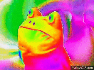 Frog GIF - Find & Share on GIPHY