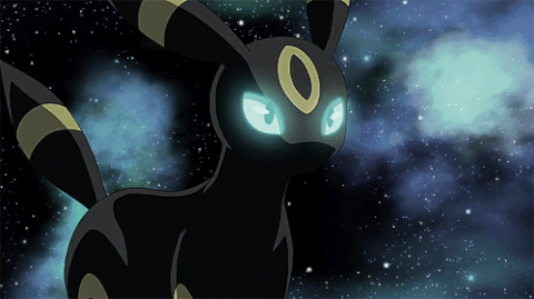 Umbreon GIFs - Get the best GIF on GIPHY