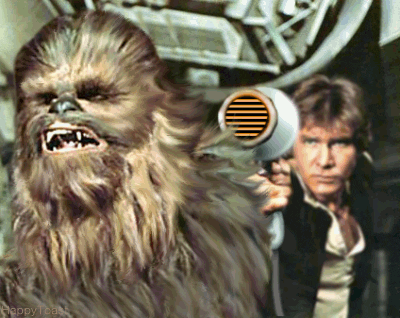 Star Wars Hair GIF - Find & Share on GIPHY