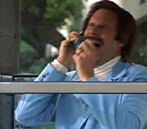 Ron Burgundy GIFs - Find & Share on GIPHY