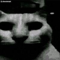 GIF ramirez cat para Instagram