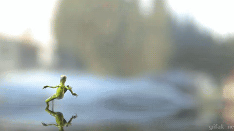 Running best Gif