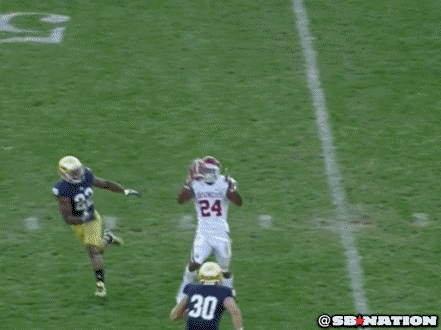 Notre Dame Football Ben GIF - Find & Share on GIPHY