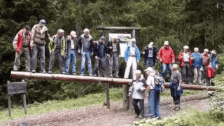 Balance Beam GIF - Find & Share on GIPHY