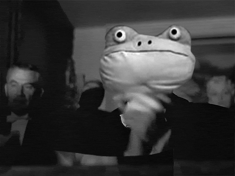 Frog GIFs - Find & Share on GIPHY