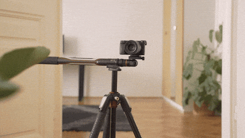 giphy-downsized-large.gif