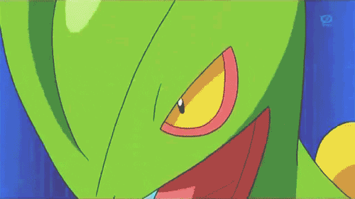 Image result for sceptile gif