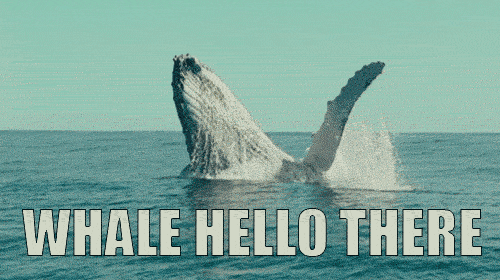 Whale breaching in the ocean and saying "Whale Hello There". 