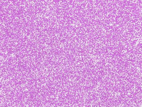 100 Percent Woman GIF by GIPHY Studios Originals