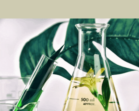 Lab Ingredients GIF
