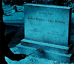 harry potter merry christmas hermione granger james potter lily potter