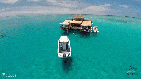 Paradise Gif Find Share On Giphy