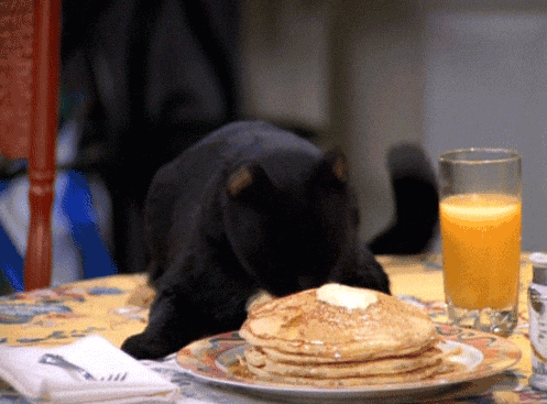 pancakes black cat sabrina the teenage witch salem