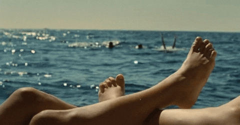 Party Warning Gif Party Warning Gif