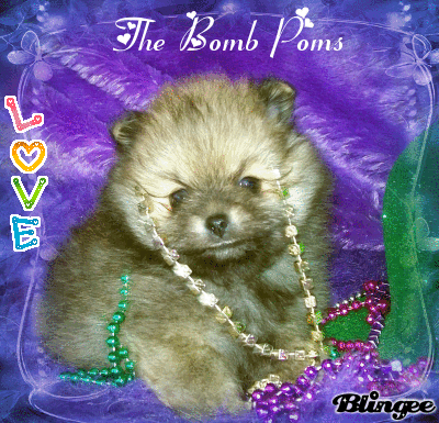 moving doll pomeranians
