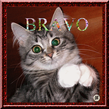 Bravo GIF - Find & Share on GIPHY