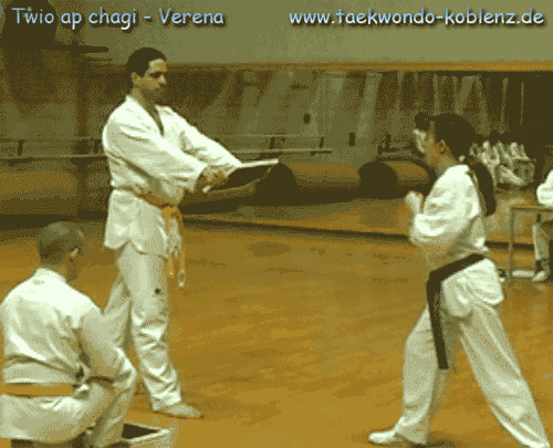 Fight Karate Gif Fight Karate Discover Share Gifs - vrogue.co