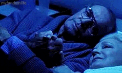 james garner the notebook