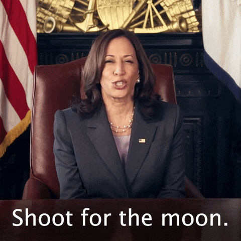shoot for the moon 