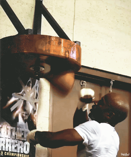 Boxing GIF Find & Share on GIPHY