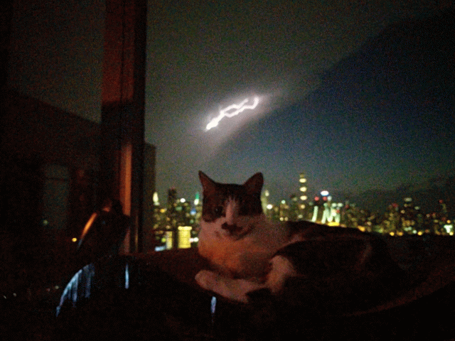 https://media.giphy.com/media/FxAG05toCKH6M/source.gif