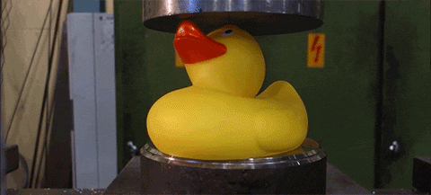 geo duck gif