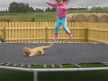 GIF girl with cat jumping in trampoline