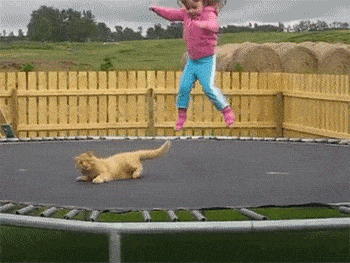 GIF girl with cat jumping in trampoline