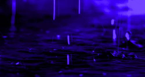 Night Rain GIFs - Find & Share on GIPHY