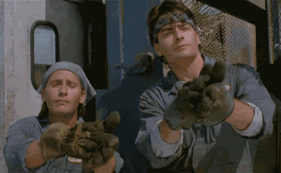 Men At Work Applause GIF - Find & Share on GIPHY