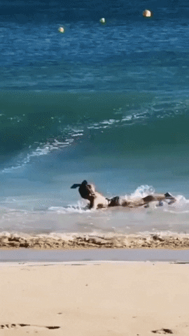 Good day to swim in funny gifs