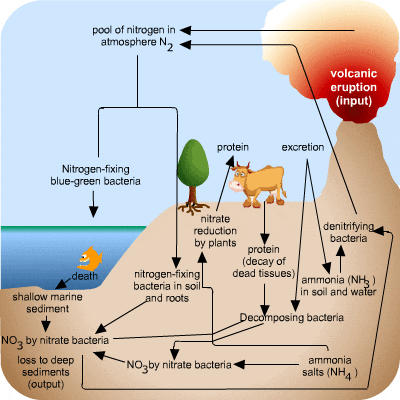 Geography GIF - Find & Share on GIPHY